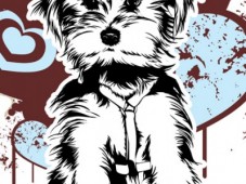 Deutschland : Portrait Cats&Dogs Pop Österreichweit