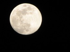 Europa : Grundstück auf dem Mond österreichweiter Versand