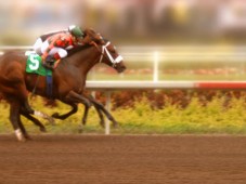 Großbritannien : Ein Tag für 2 auf der Rennbahn - Gold Cheltenham, Epsom, Newcastle, Perth & Sandown