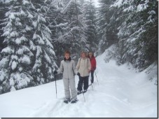 Schneeschuhwanderung im Raum Innsbruck