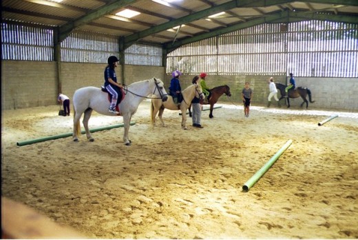 Lezione a cavallo o passeggiata di 1 ora & soggiorno 2 notti