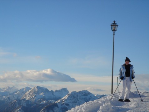 Alpenpanorama