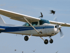 Flugstunde im Raum Leipzig