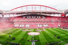 Pack SLB - Stade & Musée + une écharpe - Tarif enfant