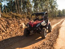 Rota Histórica em Buggy Off Road no Porto p/2 (2h00)