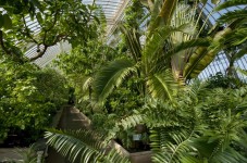 Royalen botanischen Gärten London