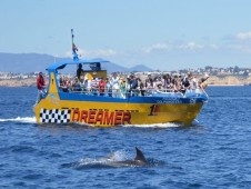 Safari de Golfinhos e Grutas no Algarve em Jet Boat p/2 adultos + 10 crianças