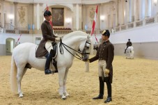 Scuola di equitazione spagnola, esercizio mattutino a Vienna