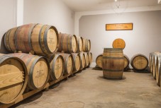 Visita a bodega con degustación y cata de vinos