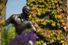 Wimbledon Tennis Tour