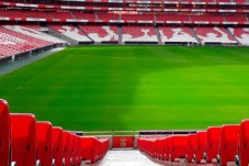 Pack SLB - Stade & Musée + une écharpe - Tarif enfant
