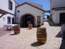 Visita a bodega con degustación y cata de vinos