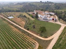 Visita a bodega con degustación y cata de vinos