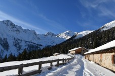 Fuga in Famiglia in Val di Fiemme
