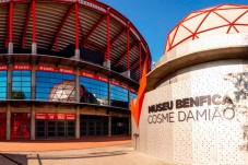 Pack SLB - Stade & Musée + une écharpe - Tarif enfant