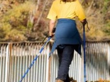 Nordic Walking Einsteiger-Tour