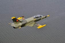 Flug mit einer L-39 Albatros in Deutschland