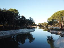 Tour de Buggy Off Road na Comporta p/4 (1h45)