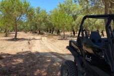 Tour de Buggy Off Road na Comporta p/4 (1h45)