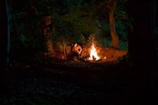 Bushcraft Outdoor Skills and Wilderness Survival