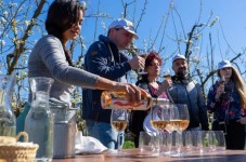 Mallorca: Exklusive Ganztägige Weintour – Verkostungen & Gourmet-Erlebnis für Zwei