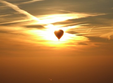 Fliegen im Sommer