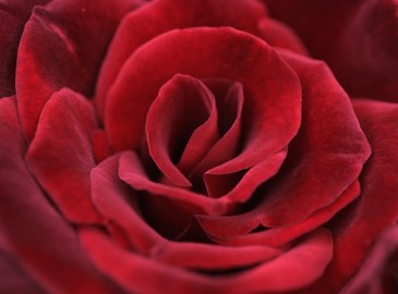 Valentinstag Geschenke