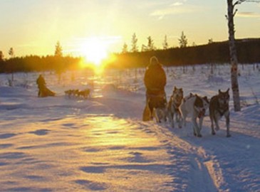 Wintererlebnisse