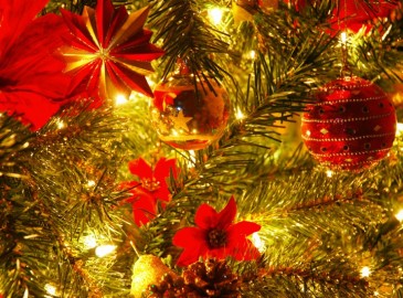 Geschenk für Weihnachten