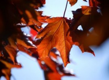 Wellness im Herbst