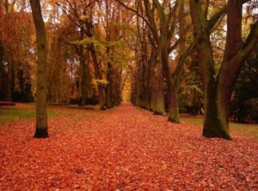Erlebnisse für den Herbst