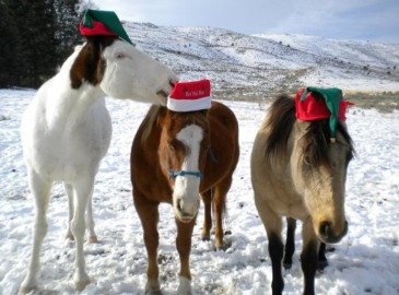 Fröhliche Weihnachten